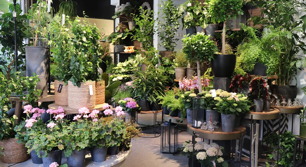 EM_FloristGalleriet_02