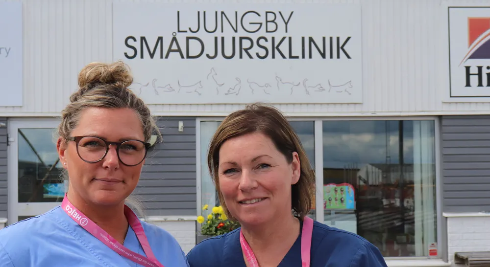 EM_Ljungbysmadjur_02